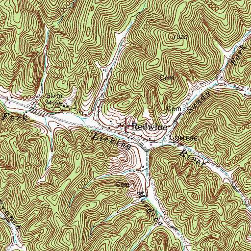 Topographic Map of Redwine, KY