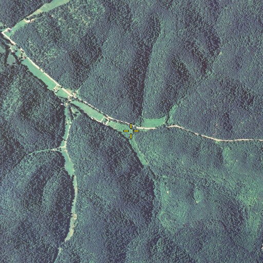 Aerial/Satellite Image of Reeder Fork, KY