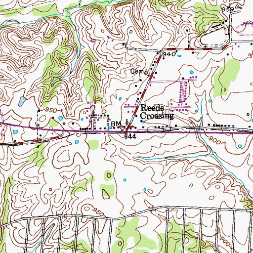 Topographic Map of Reeds Crossing, KY