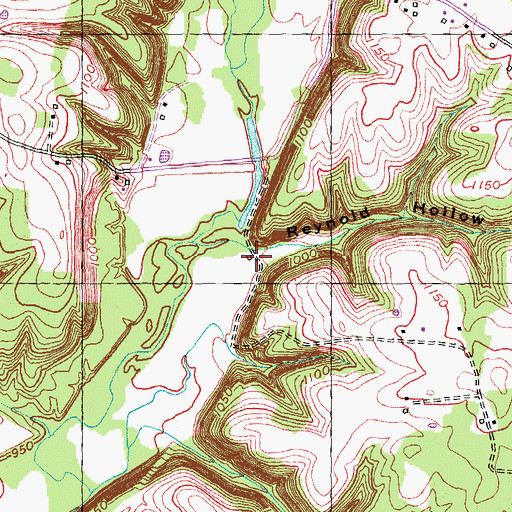 Topographic Map of Reynold Hollow, KY