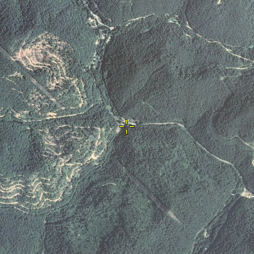 Aerial/Satellite Image of Rhone Fork, KY