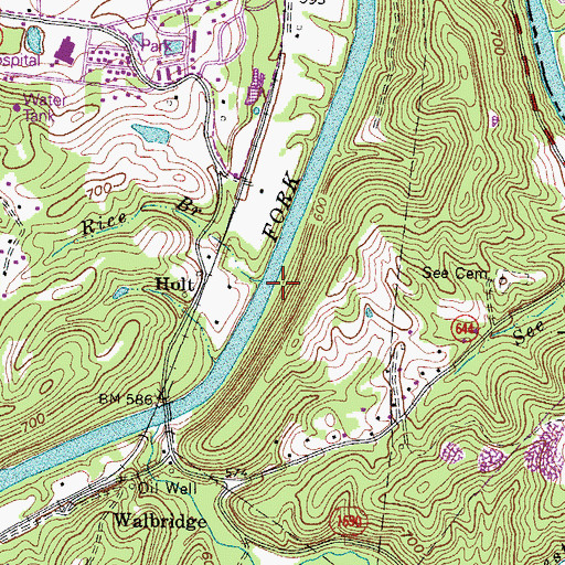 Topographic Map of Rice Branch, KY