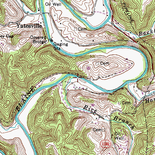 Topographic Map of Rice Branch, KY