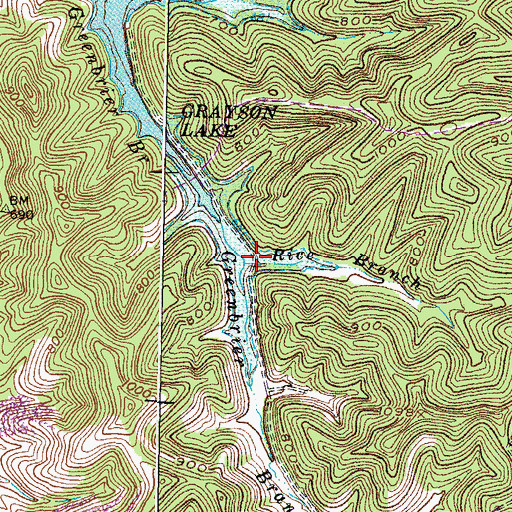 Topographic Map of Rice Branch, KY