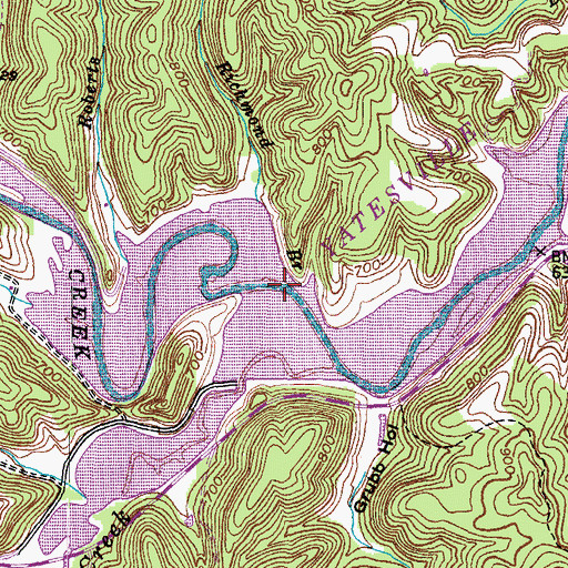 Topographic Map of Richmond Branch, KY