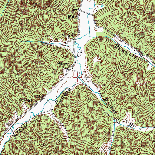 Topographic Map of Ricket Branch, KY