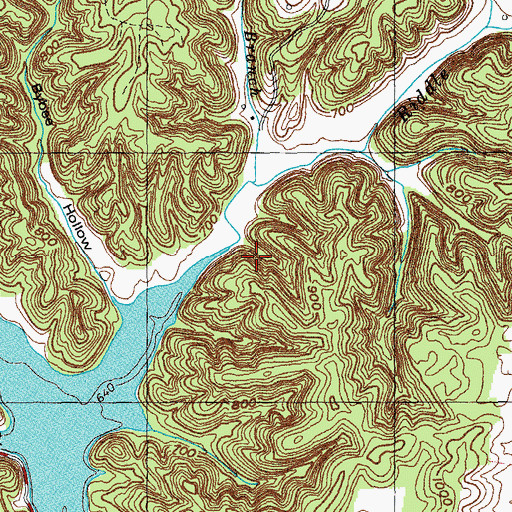 Topographic Map of Riddle Prong, KY