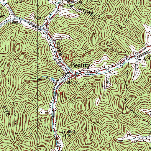 Topographic Map of Right Fork Buck Creek, KY