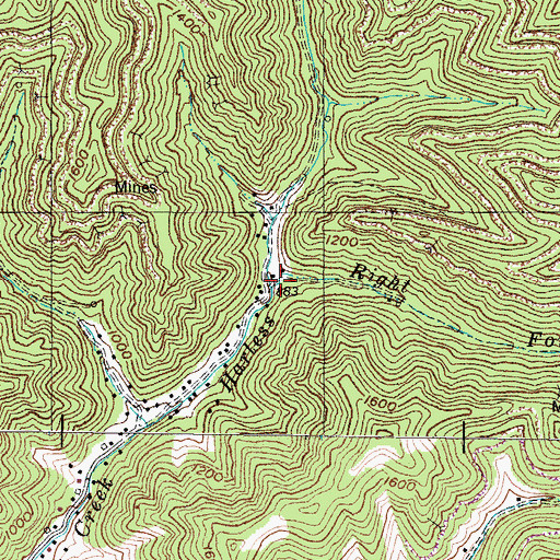 Topographic Map of Right Fork Harless Creek, KY