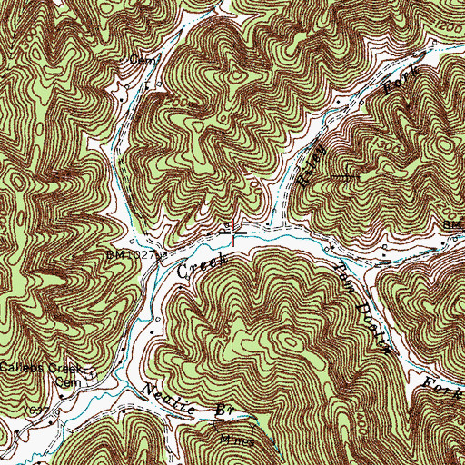Topographic Map of Riley Fork, KY