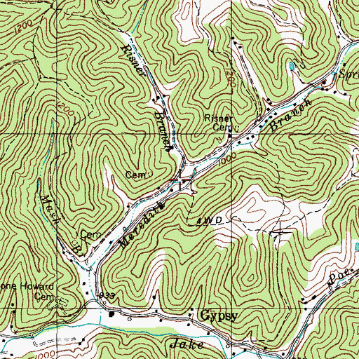 Topographic Map of Risner Branch, KY
