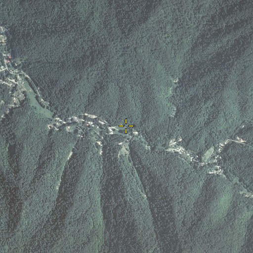 Aerial/Satellite Image of Road Branch, KY