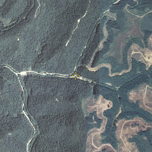 Aerial/Satellite Image of Road Branch, KY