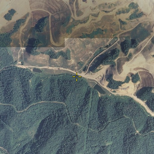 Aerial/Satellite Image of Road Branch, KY