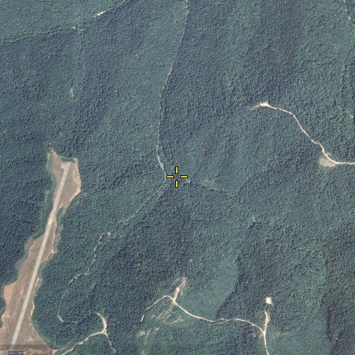Aerial/Satellite Image of Road Fork Branch, KY