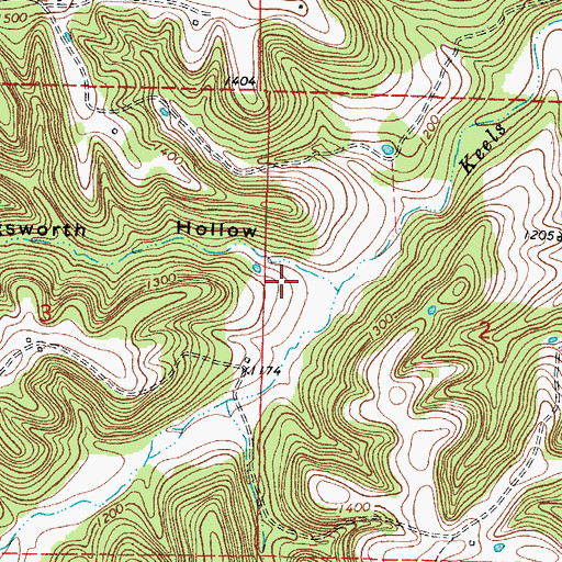Topographic Map of Hollingsworth Hollow, AR