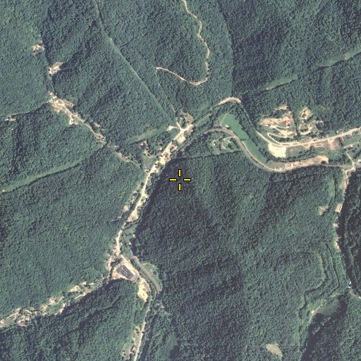 Aerial/Satellite Image of Roaring Branch, KY