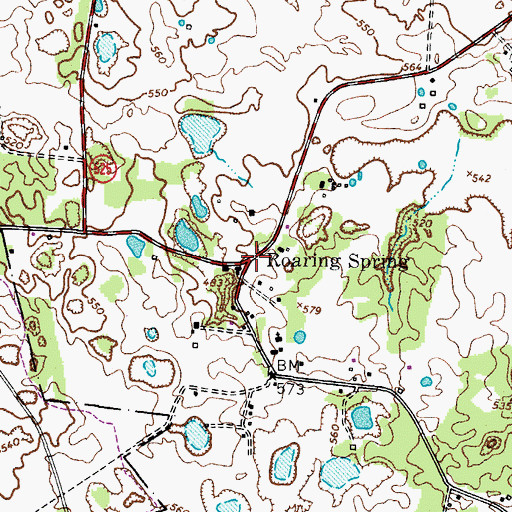 Topographic Map of Roaring Spring, KY