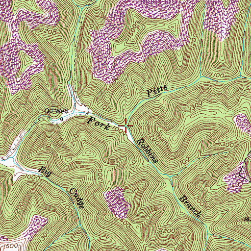 Topographic Map of Robbins Branch, KY