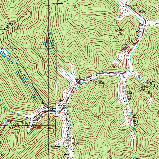 Topographic Map of Roberts Branch, KY