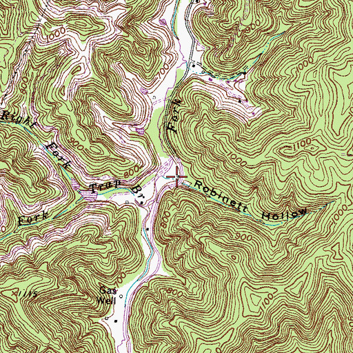 Topographic Map of Robinett Hollow, KY
