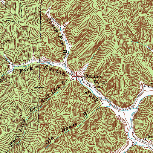 Topographic Map of Rock Lick Branch, KY