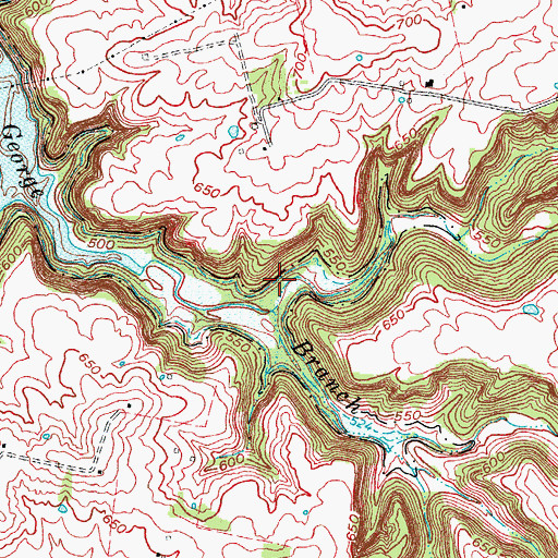 Topographic Map of Rocky Branch, KY