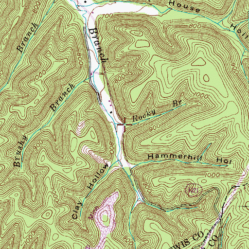 Topographic Map of Rocky Branch, KY