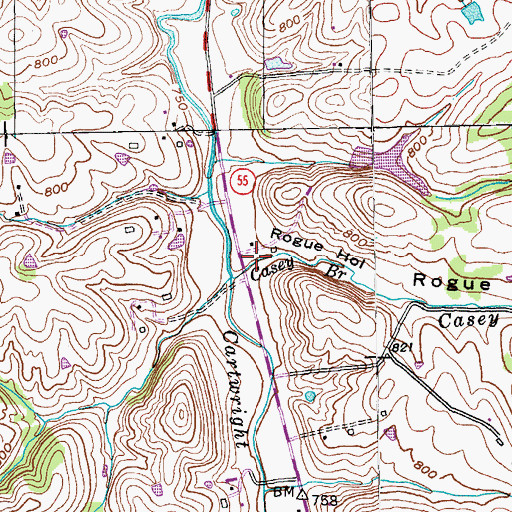 Topographic Map of Rogue Hollow, KY