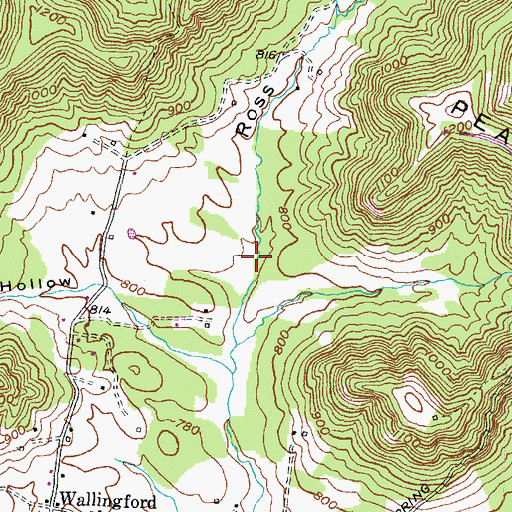 Topographic Map of Ross Hollow, KY