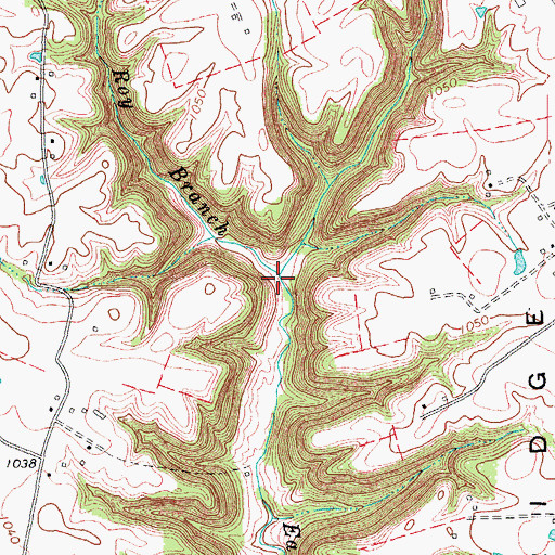 Topographic Map of Roy Branch, KY