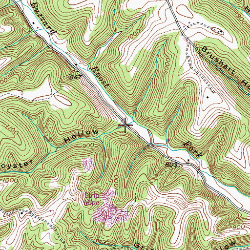 Topographic Map of Royster Hollow, KY
