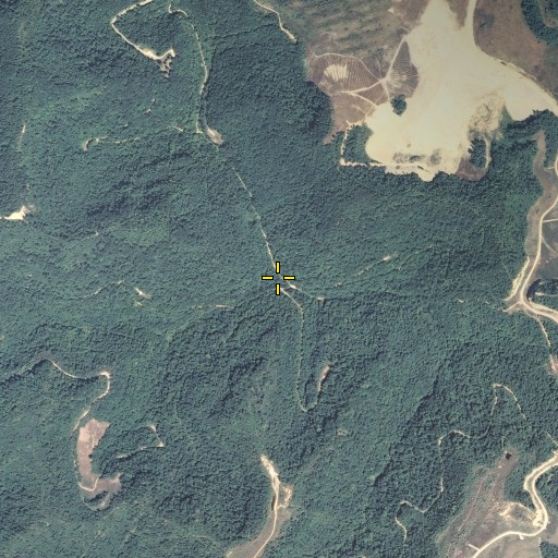 Aerial/Satellite Image of Runyon Fork, KY