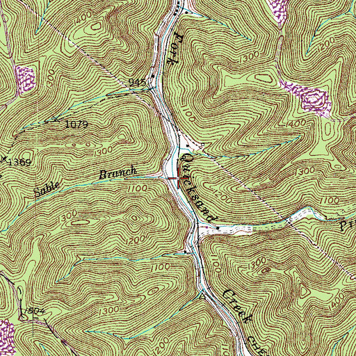Topographic Map of Sable Branch, KY