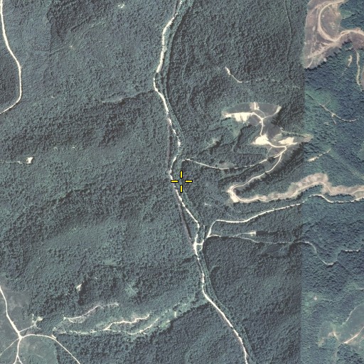 Aerial/Satellite Image of Sable Branch, KY