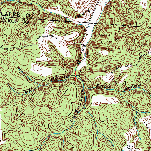 Topographic Map of Sal Hollow, KY