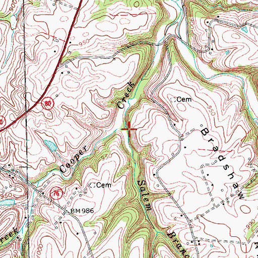 Topographic Map of Salem Branch, KY