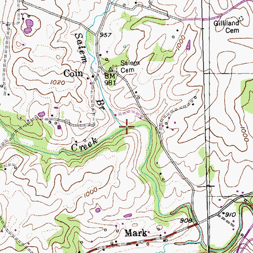 Topographic Map of Salem Branch, KY