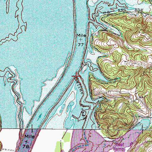 Topographic Map of Saline Creek, TN