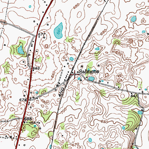 Topographic Map of Salmons, KY
