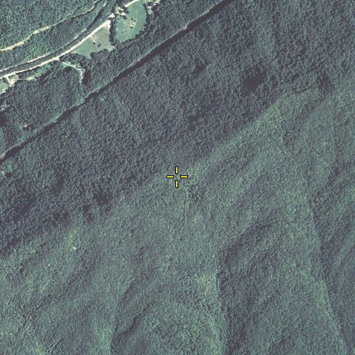 Aerial/Satellite Image of Salt Trace Gap, KY