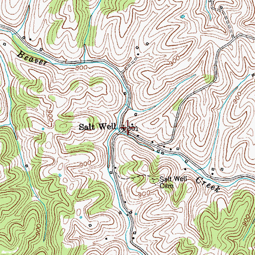 Topographic Map of Salt Well, KY
