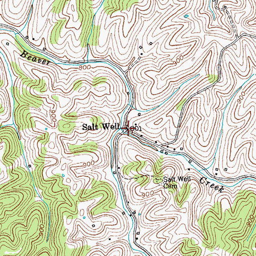 Topographic Map of Salt Well Cemetery, KY