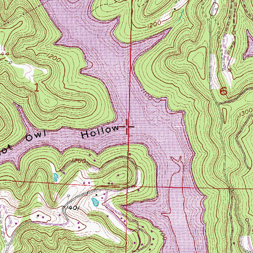 Topographic Map of Hoot Owl Hollow, AR