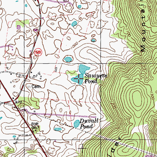 Topographic Map of Sawyers Pond, KY