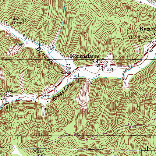 Topographic Map of Schultz Branch, KY