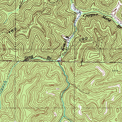 Topographic Map of Seng Branch, KY