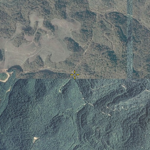 Aerial/Satellite Image of Seng Branch, KY