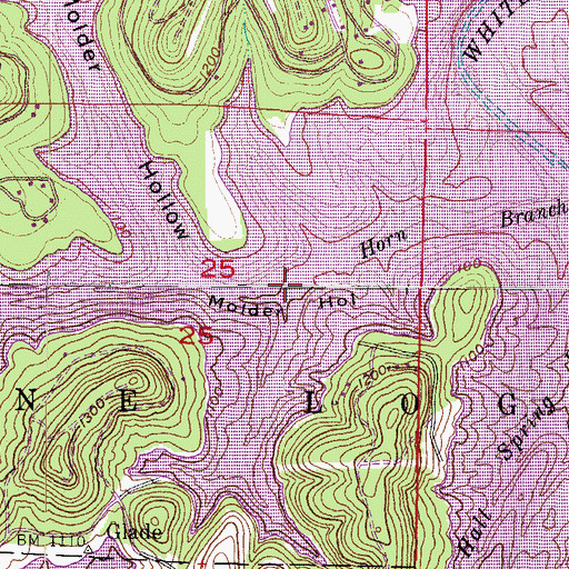 Topographic Map of Horn Branch, AR