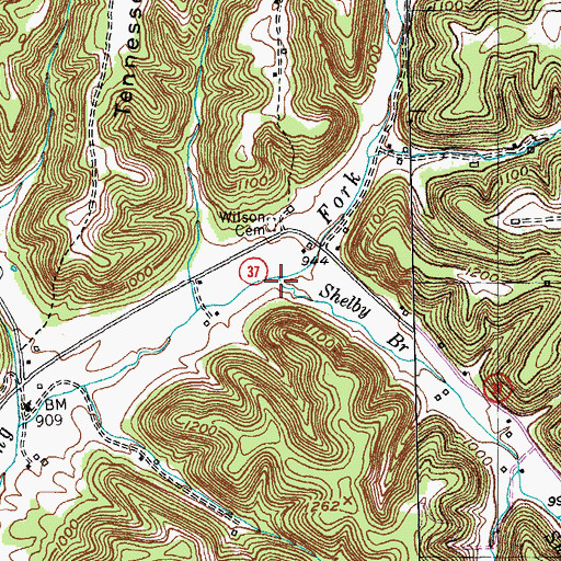 Topographic Map of Shelby Branch, KY